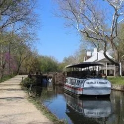 Example Image